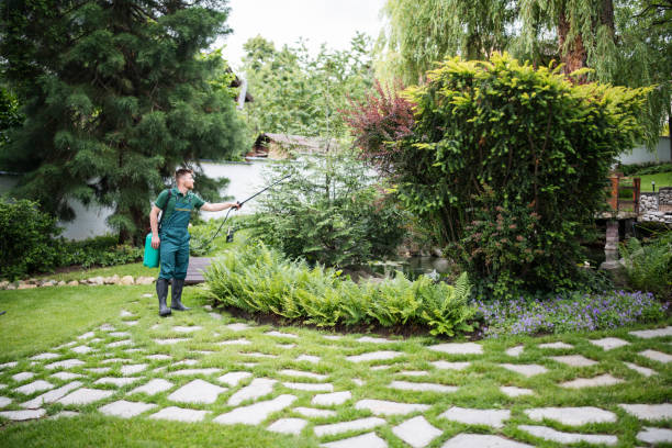 Best Insect Control  in Fremont, IN