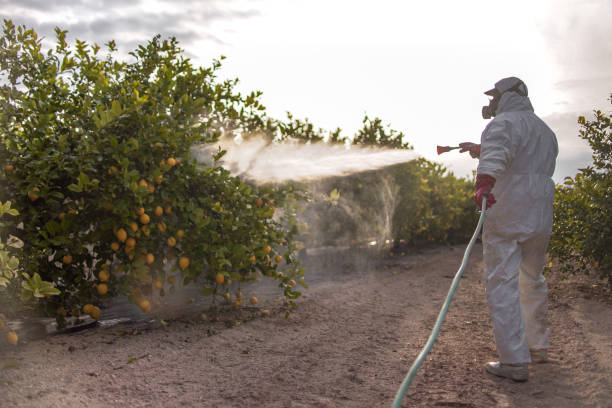 Best Cockroach Control Services  in Fremont, IN