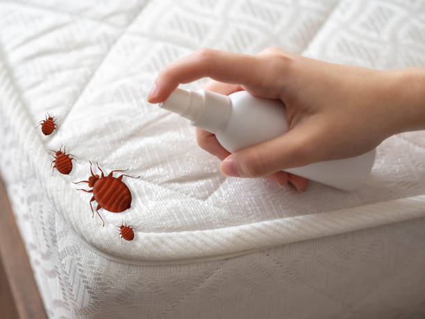 Best Wasp Removal Services  in Fremont, IN