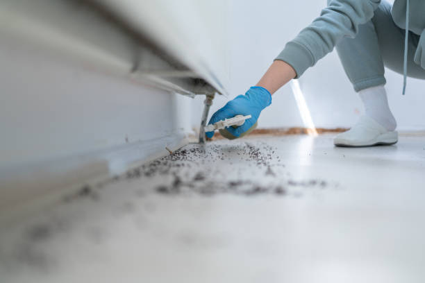 Best Spider Control Near Me  in Fremont, IN