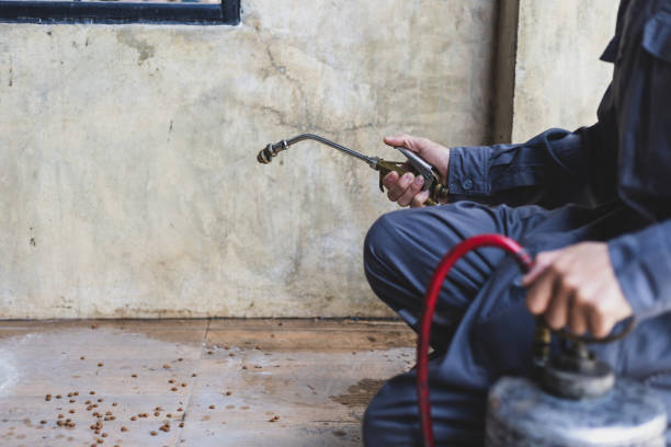 Best Affordable Pest Control Services  in Fremont, IN