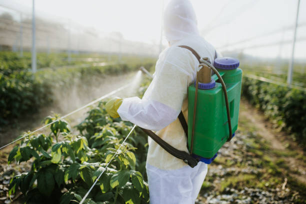 Best Termite Control Services  in Fremont, IN